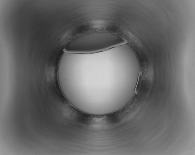 X0000111130560200907141213