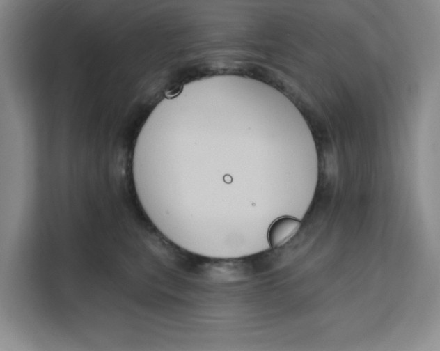 X0000111130567200907141213