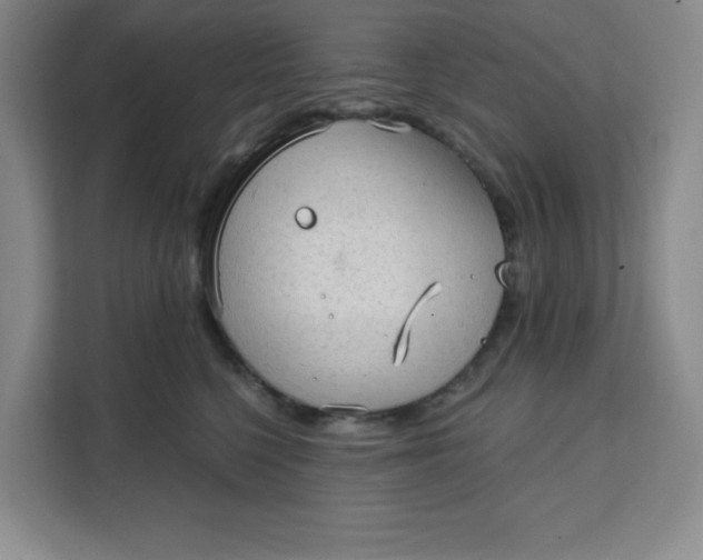 X0000111130568200907141213