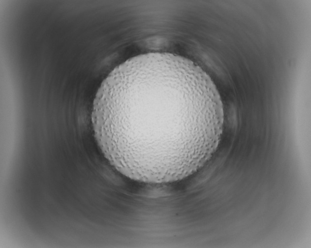 X0000111130569200907141213