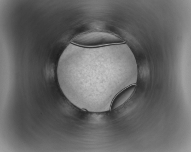 X0000111130570200907141213