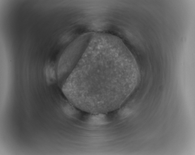 X0000111130576200907141213