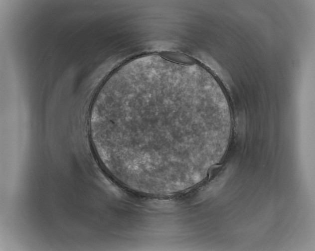 X0000111130577200907141213
