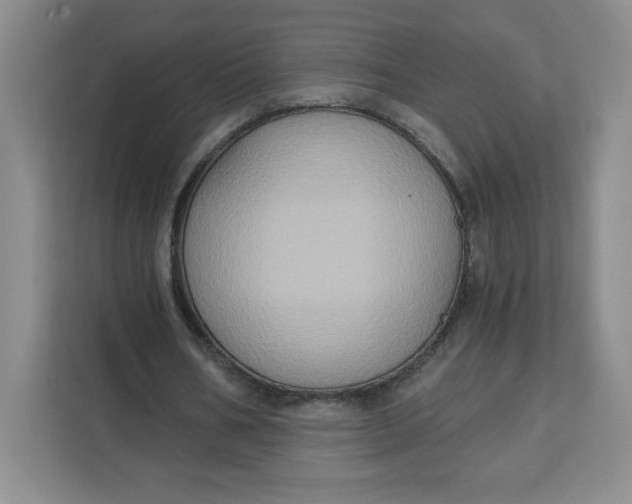 X0000111130578200907141212