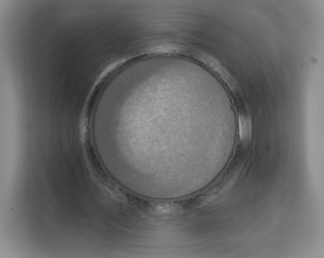 X0000111130579200907141212
