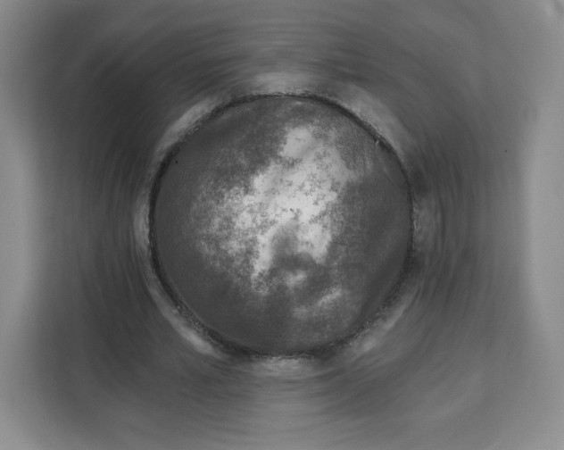 X0000111130581200907141212