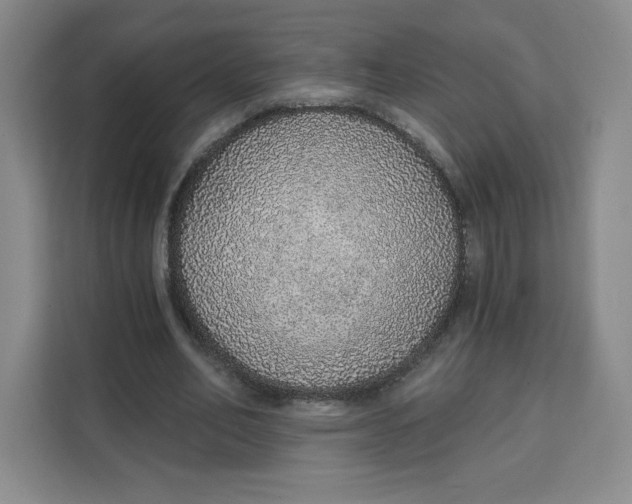 X0000111130582200907141212