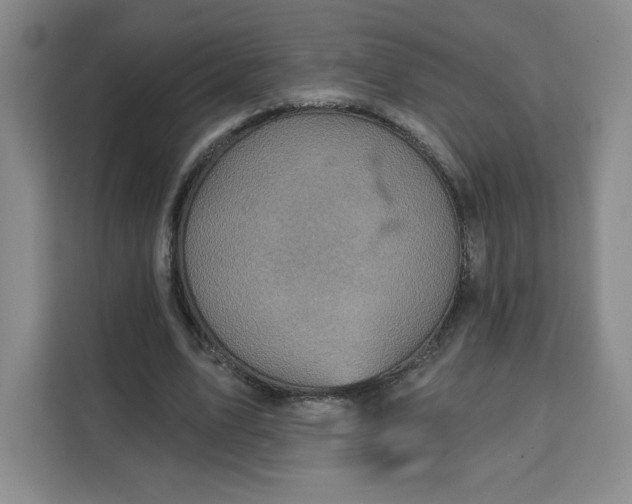 X0000111130583200907141212