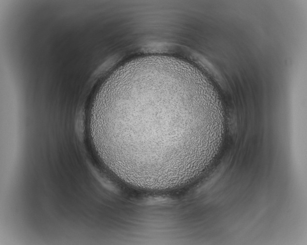 X0000111130586200907141212