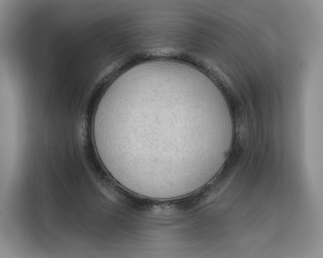 X0000111130591200907141212