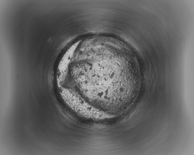 X0000111130592200907141212
