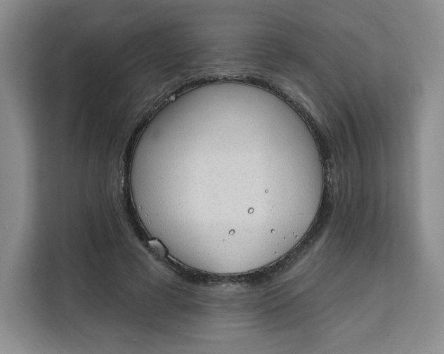 X0000111130593200907141212