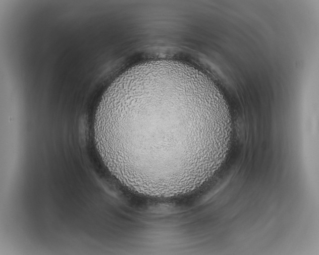 X0000111130594200907141212