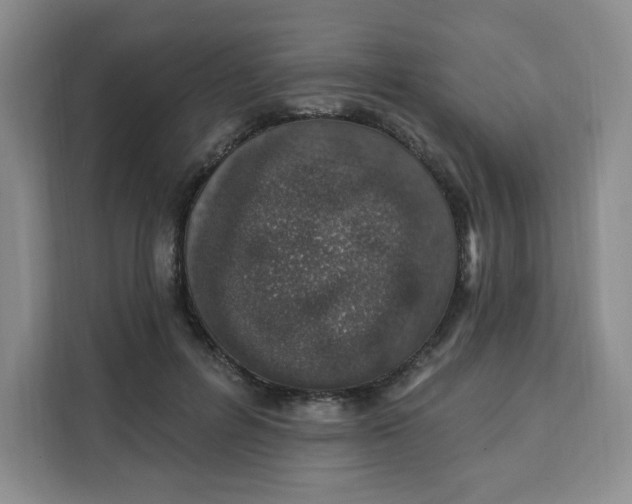 X0000111130600200907141212