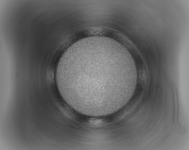 X0000111130602200907141212