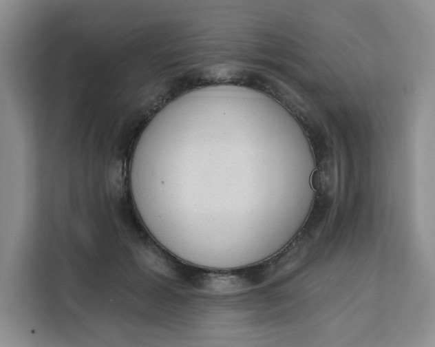 X0000111130605200907141212