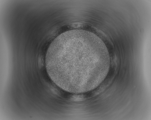 X0000111130606200907141212