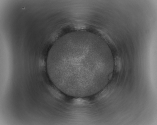 X0000111130614200907141212