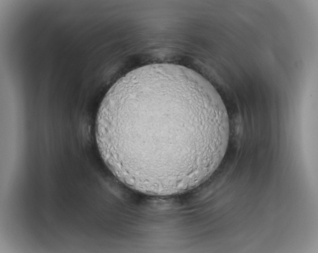 X0000111130615200907141212