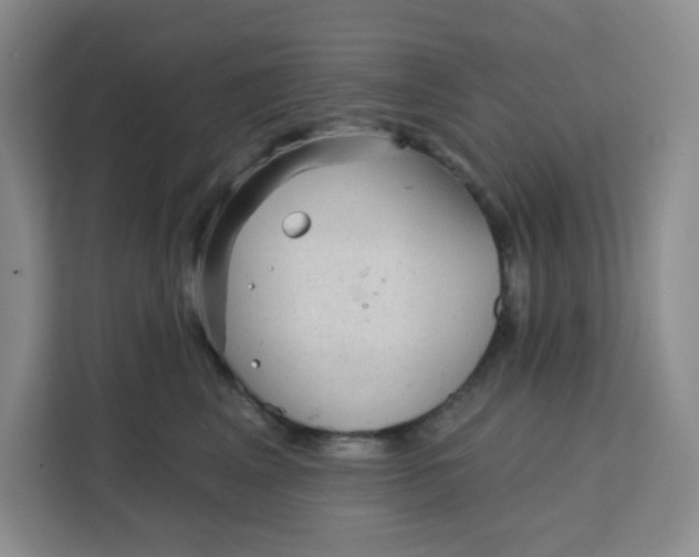 X0000111130617200907141212