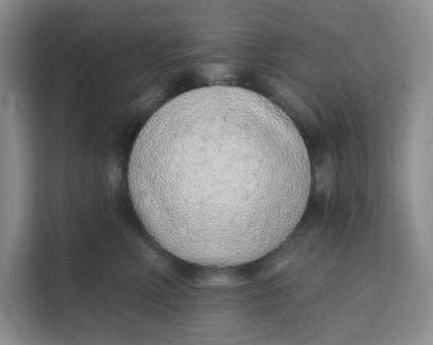 X0000111130618200907141212