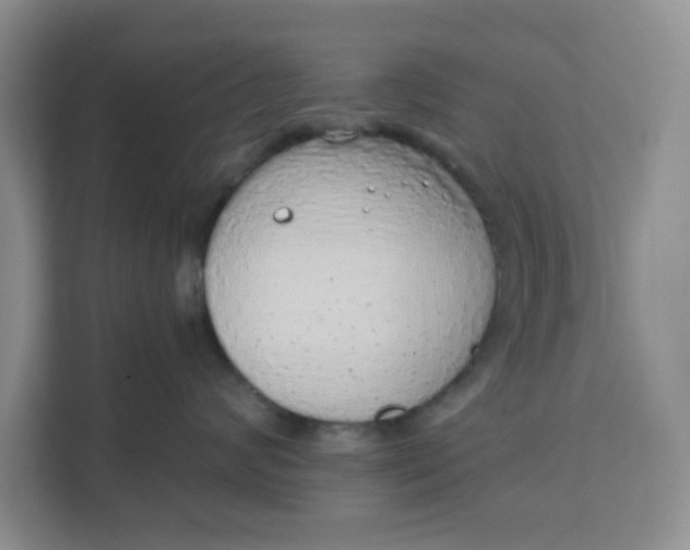 X0000111130624200907141212