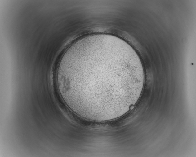 X0000111130626200907141211