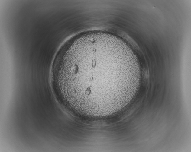 X0000111130628200907141211