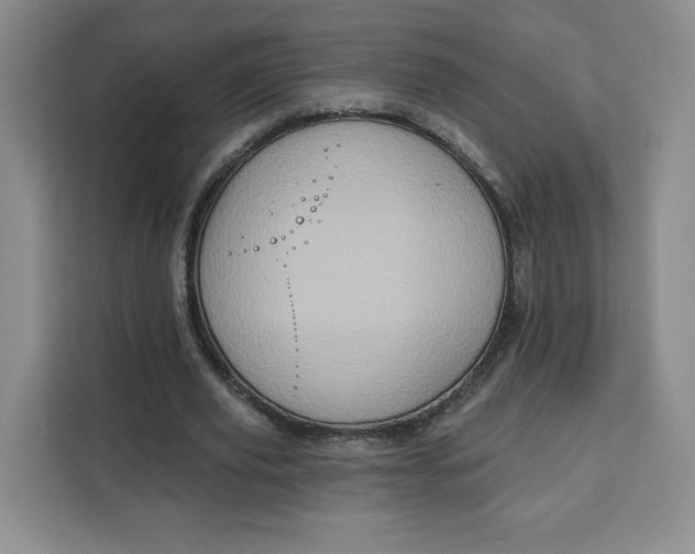 X0000111130629200907141211