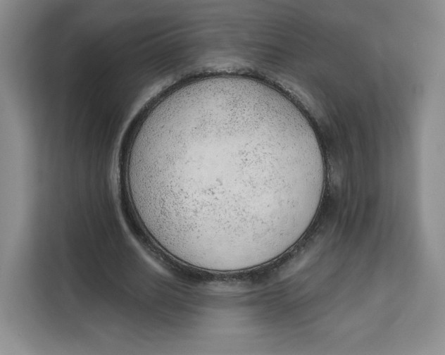 X0000111130630200907141211