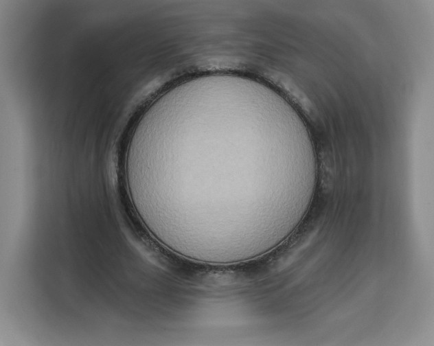 X0000111130631200907141211