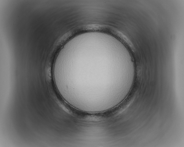 X0000111130633200907141211