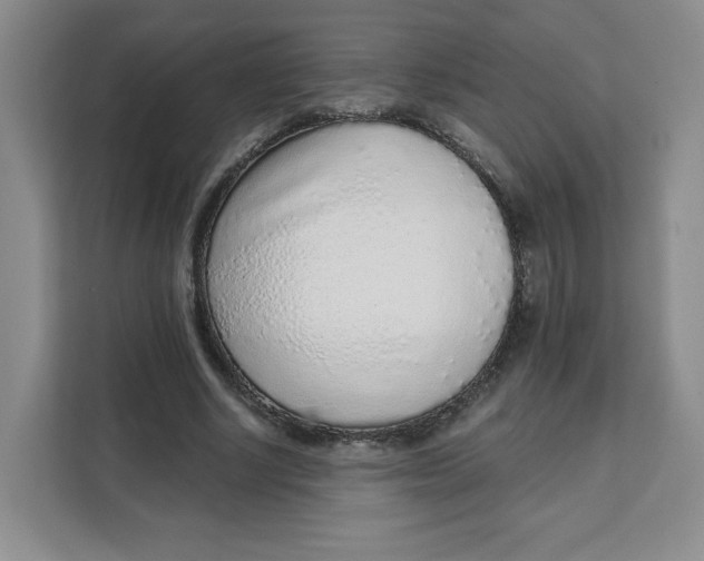 X0000111130634200907141211