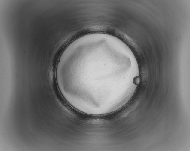 X0000111130637200907141211