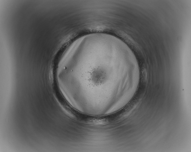 X0000111130638200907141211