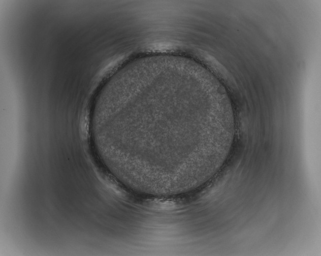 X0000111130640200907141211