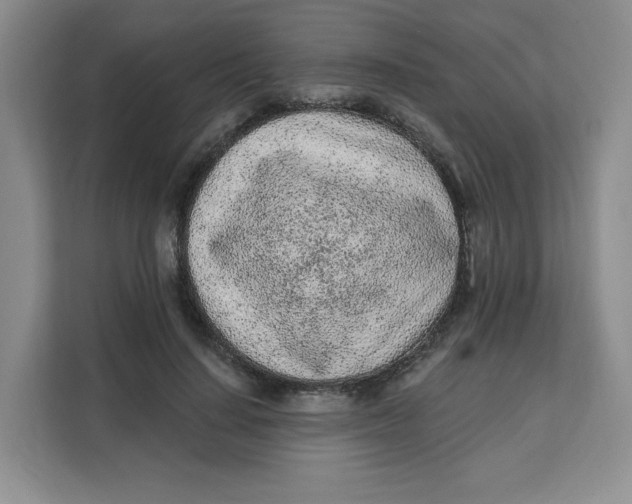 X0000111130644200907141212