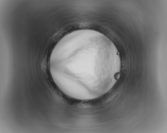X0000111130648200907141212