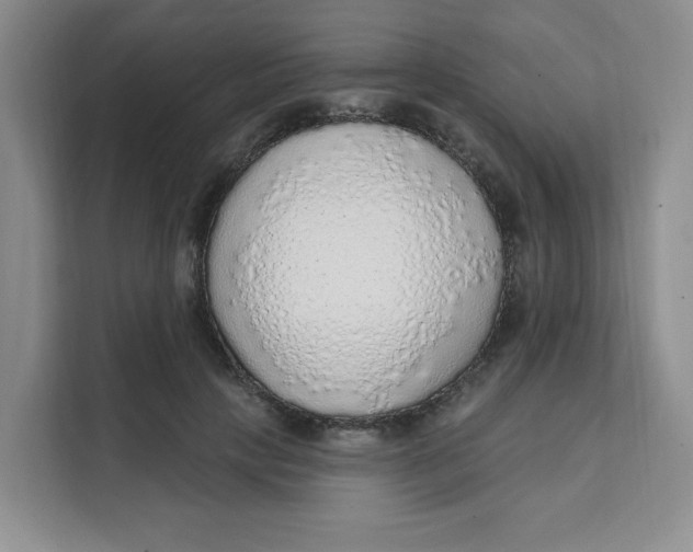 X0000111130649200907141212
