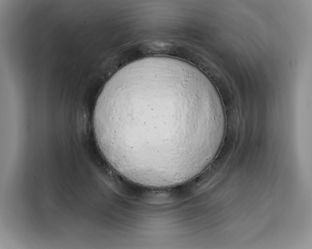 X0000111130651200907141212