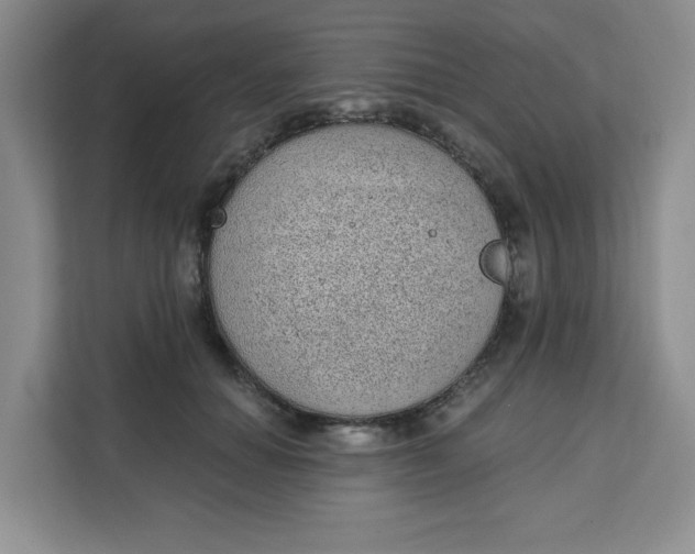 X0000111130654200907141212