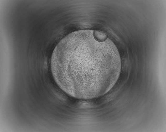 X0000111130655200907141212