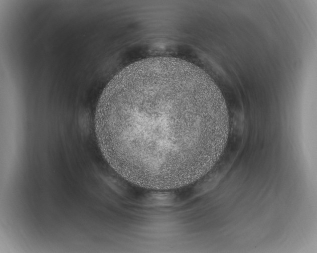 X0000111130659200907141212