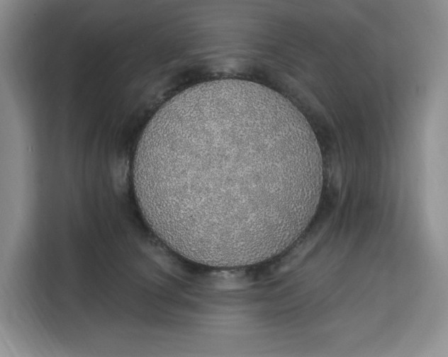 X0000111130660200907141212