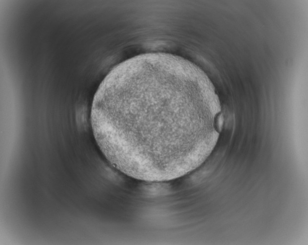X0000111130670200907141212