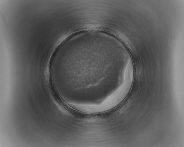 X0000111130674200907141211