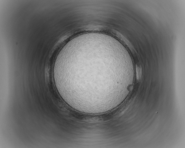 X0000111130675200907141211