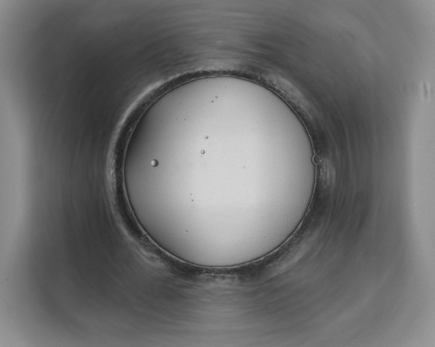 X0000111130676200907141211
