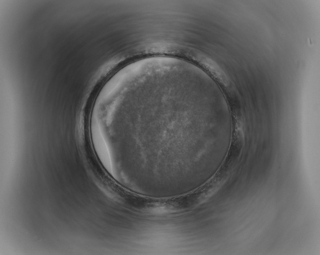 X0000111130678200907141211
