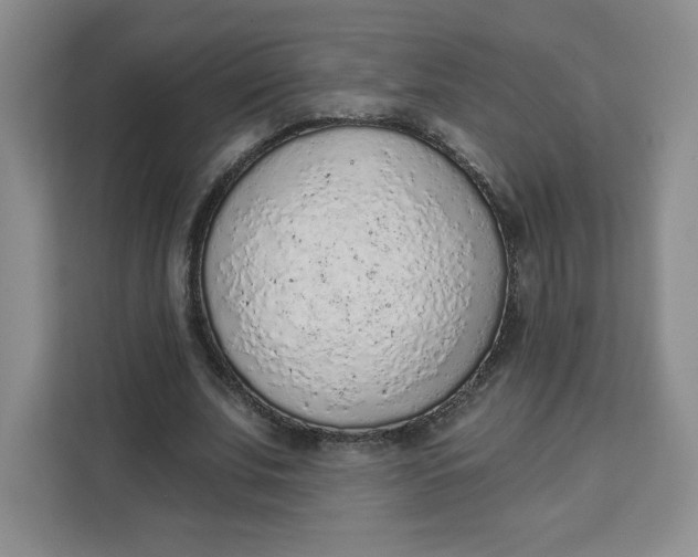 X0000111130679200907141211